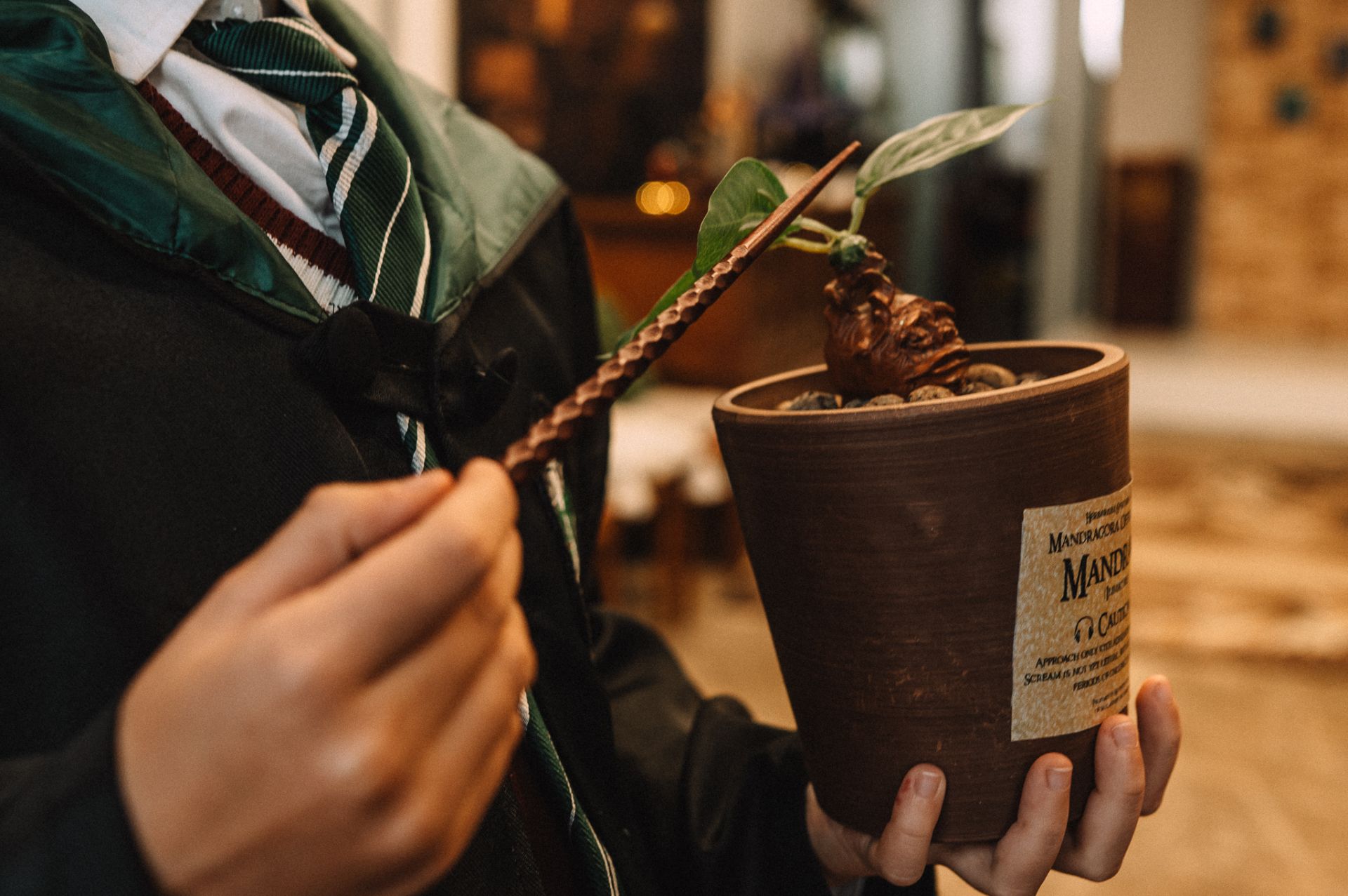 Group schedule visual