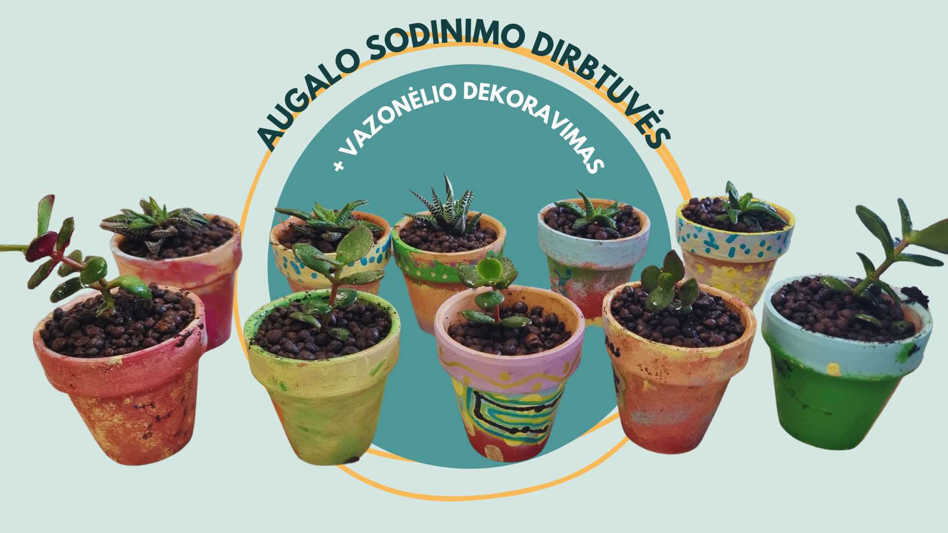 Group schedule visual