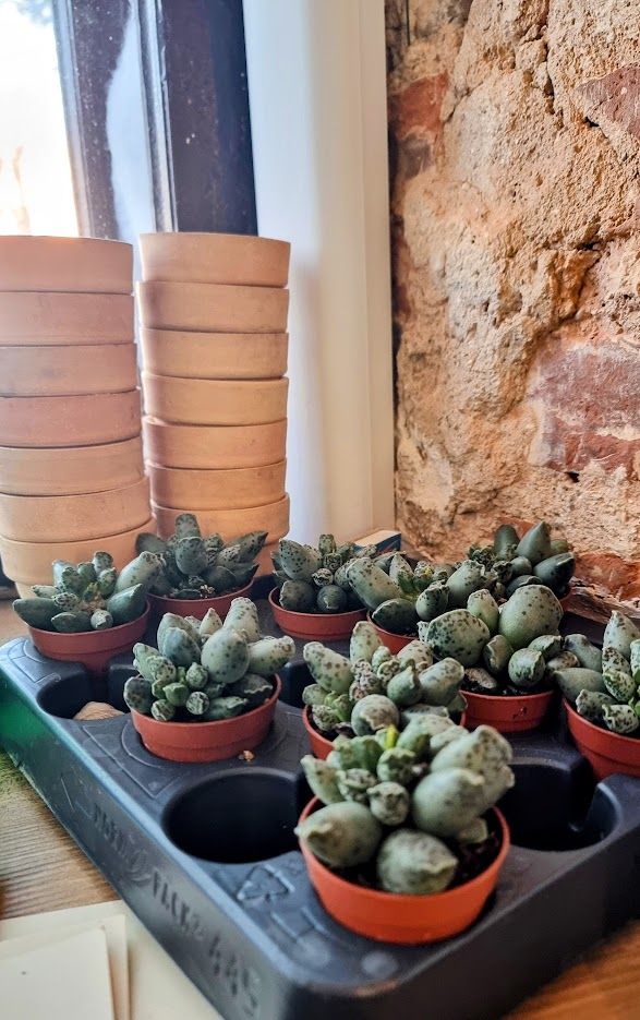 Group schedule visual